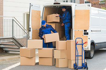 About Lower Benefield Removals